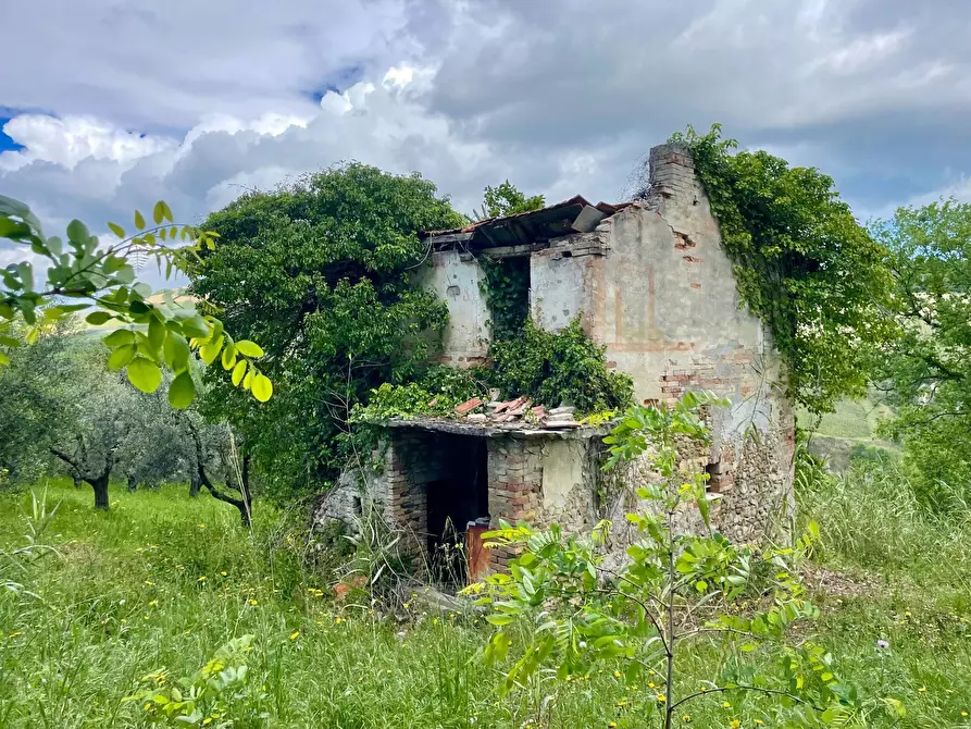 Immagine 18 di Rustico / casale in vendita  in Contrada Fonte Vecchia a Monteprandone