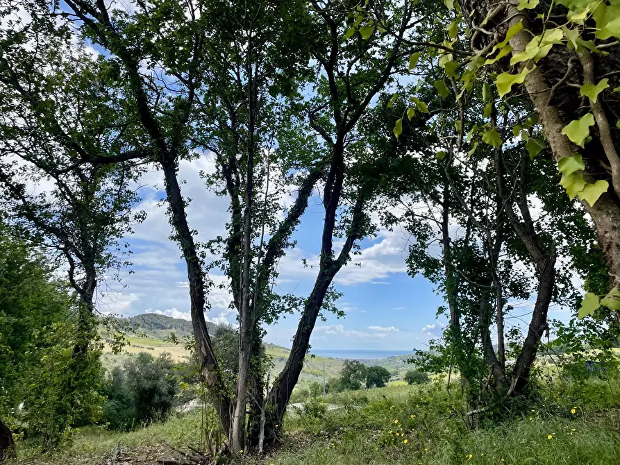 Immagine 19 di Rustico / casale in vendita  in Contrada Fonte Vecchia a Monteprandone