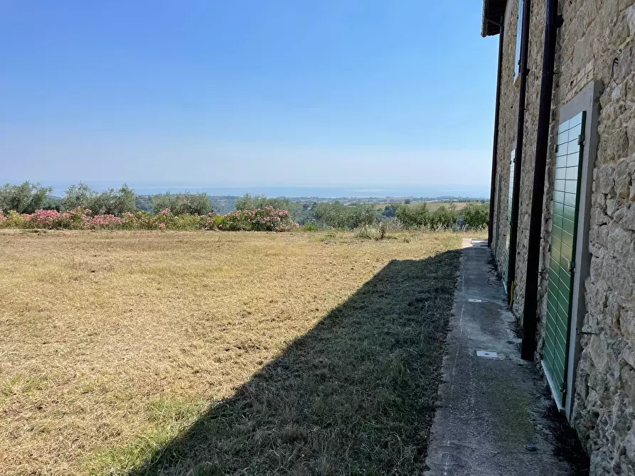 Immagine 4 di Rustico / casale in vendita  in Quercia Ferrata a Ripatransone