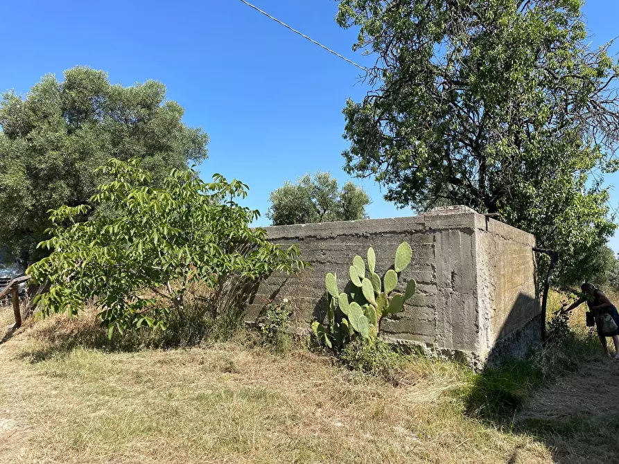 Immagine 10 di Rustico / casale in vendita  in Quercia Ferrata a Ripatransone