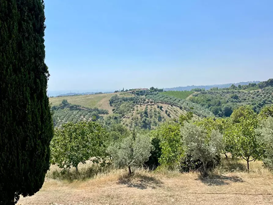 Immagine 13 di Rustico / casale in vendita  in Quercia Ferrata a Ripatransone