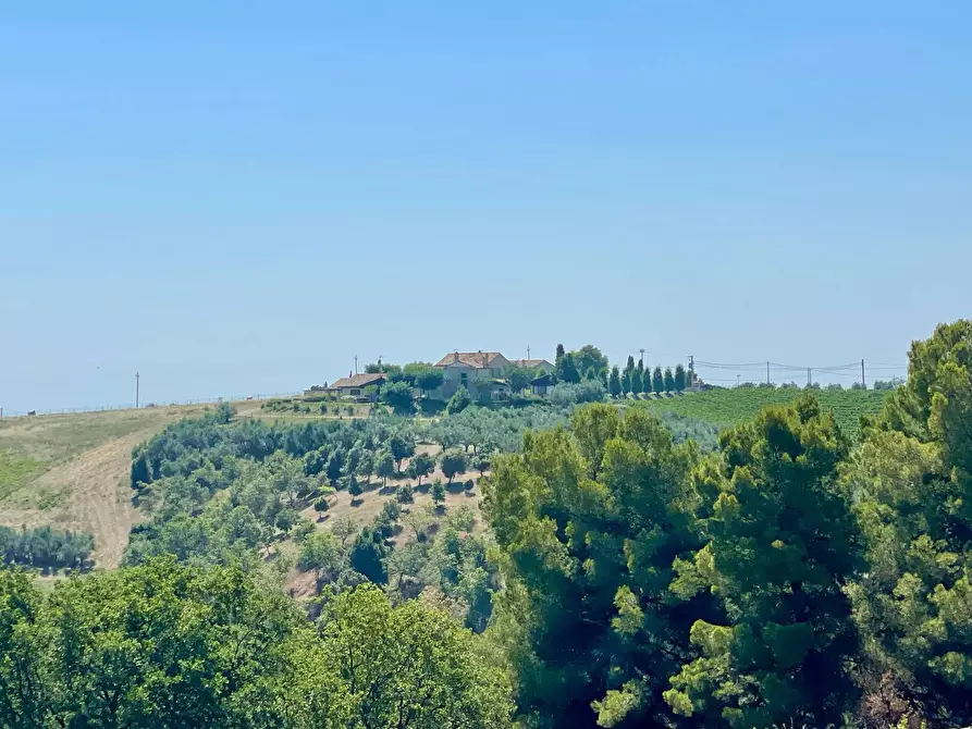 Immagine 22 di Rustico / casale in vendita  in Quercia Ferrata a Ripatransone