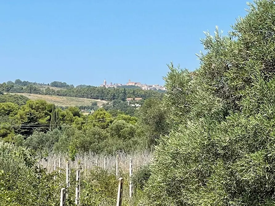 Immagine 25 di Rustico / casale in vendita  in Quercia Ferrata a Ripatransone