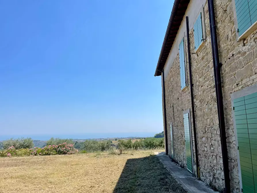 Immagine 27 di Rustico / casale in vendita  in Quercia Ferrata a Ripatransone