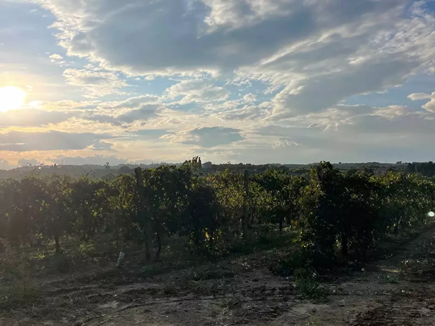 Immagine 4 di Rustico / casale in vendita  in CONTRADA SANT'ANDREA a Cupra Marittima