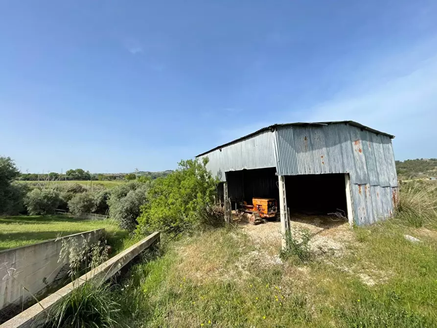 Immagine 9 di Rustico / casale in vendita  in CONTRADA SANT'ANDREA a Cupra Marittima