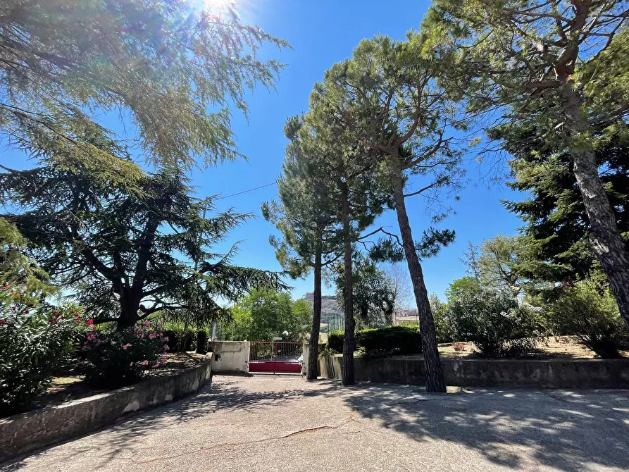 Immagine 5 di Casa indipendente in vendita  in seminario fermo a Fermo