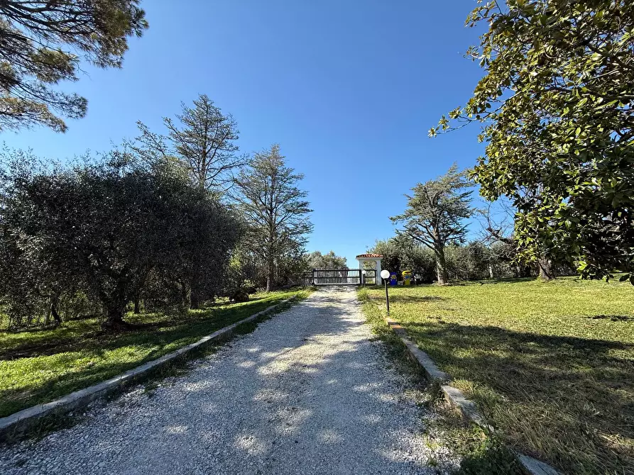 Immagine 38 di Casa indipendente in vendita  in Contr.da Sant'Andrea a Cupra Marittima