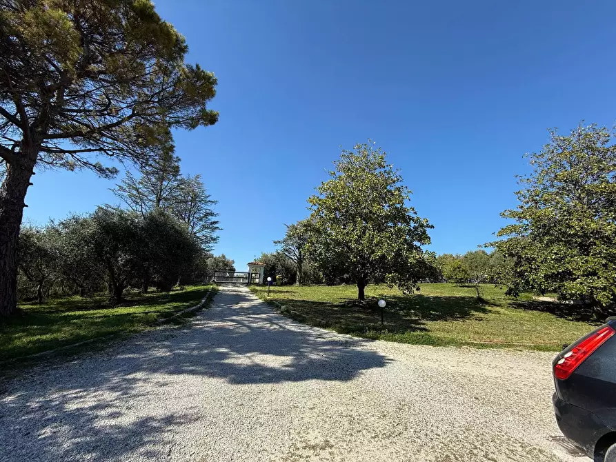 Immagine 39 di Casa indipendente in vendita  in Contr.da Sant'Andrea a Cupra Marittima