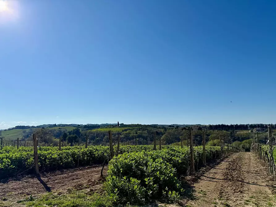 Immagine 28 di Rustico / casale in vendita  in Quercia Ferrata a Ripatransone