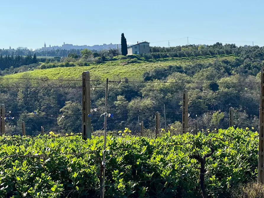 Immagine 29 di Rustico / casale in vendita  in Quercia Ferrata a Ripatransone