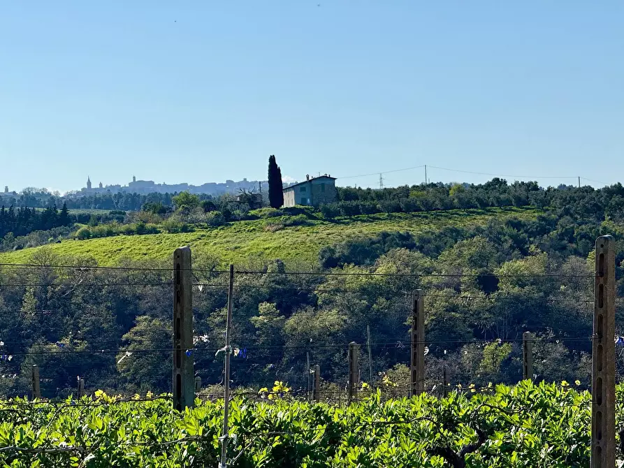 Immagine 30 di Rustico / casale in vendita  in Quercia Ferrata a Ripatransone