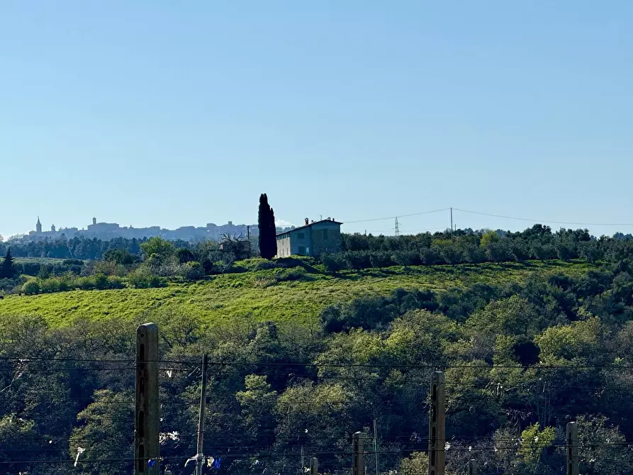 Immagine 2 di Rustico / casale in vendita  in Quercia Ferrata a Ripatransone