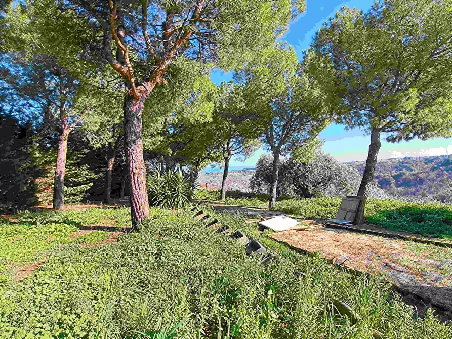 Immagine 6 di Rustico / casale in vendita  in petrella a Ripatransone