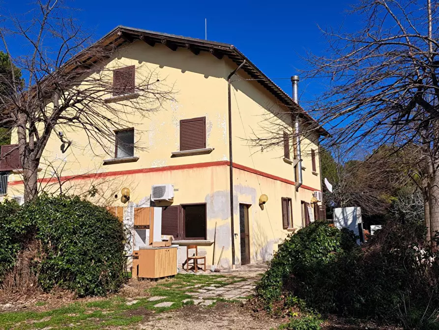 Immagine 8 di Rustico / casale in vendita  in petrella a Ripatransone