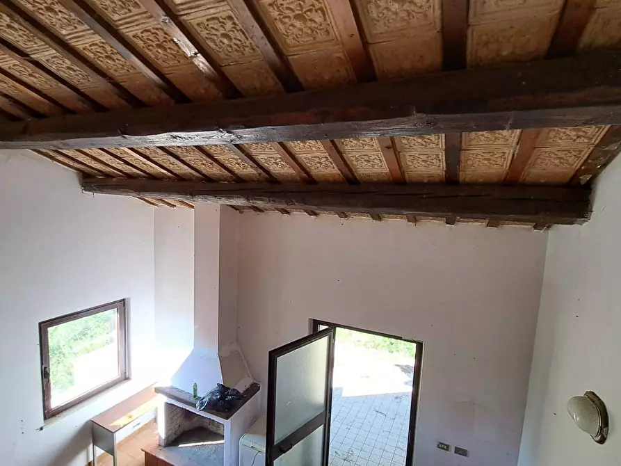 Immagine 11 di Rustico / casale in vendita  in petrella a Ripatransone