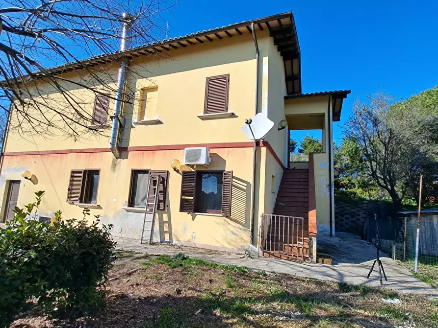 Immagine 12 di Rustico / casale in vendita  in petrella a Ripatransone