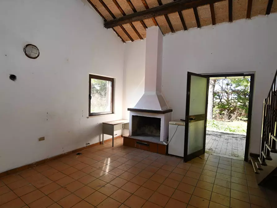 Immagine 16 di Rustico / casale in vendita  in petrella a Ripatransone