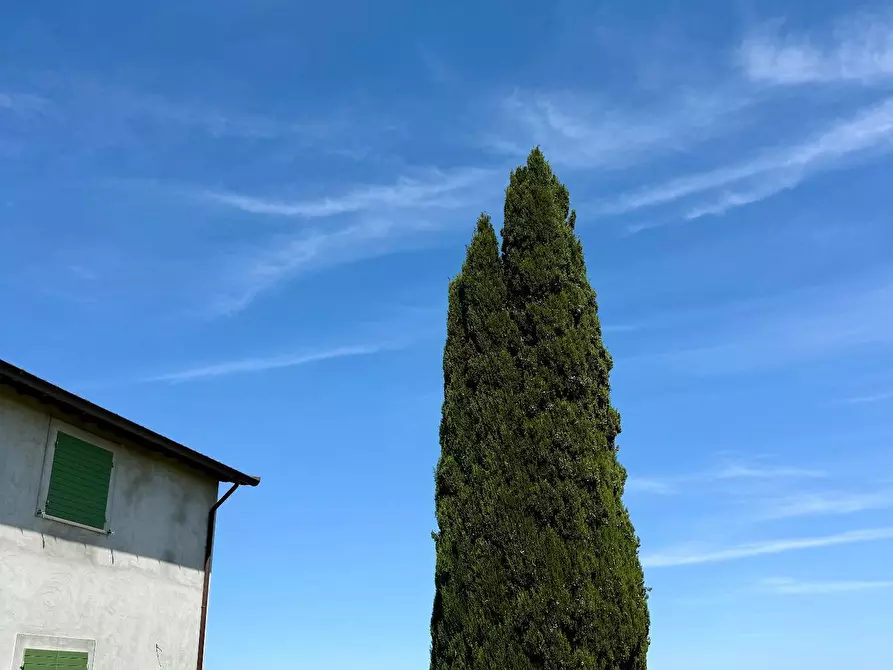 Immagine 34 di Rustico / casale in vendita  in Quercia Ferrata a Ripatransone