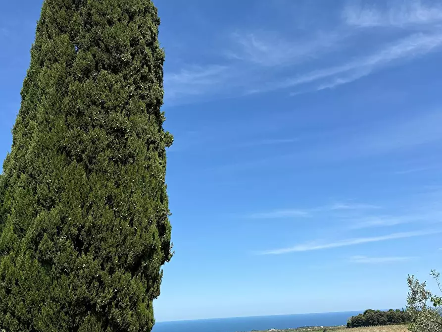 Immagine 36 di Rustico / casale in vendita  in Quercia Ferrata a Ripatransone