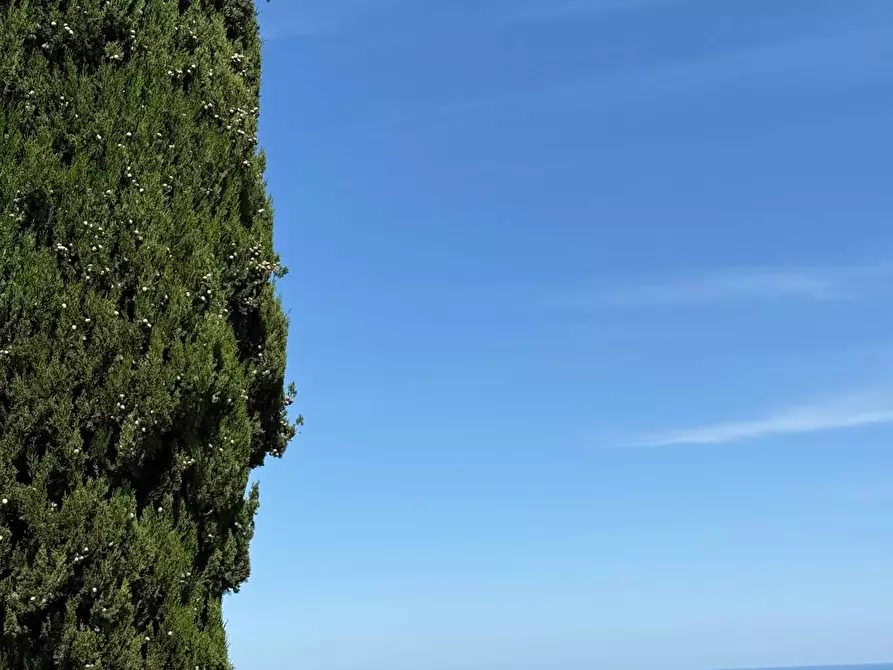 Immagine 37 di Rustico / casale in vendita  in Quercia Ferrata a Ripatransone