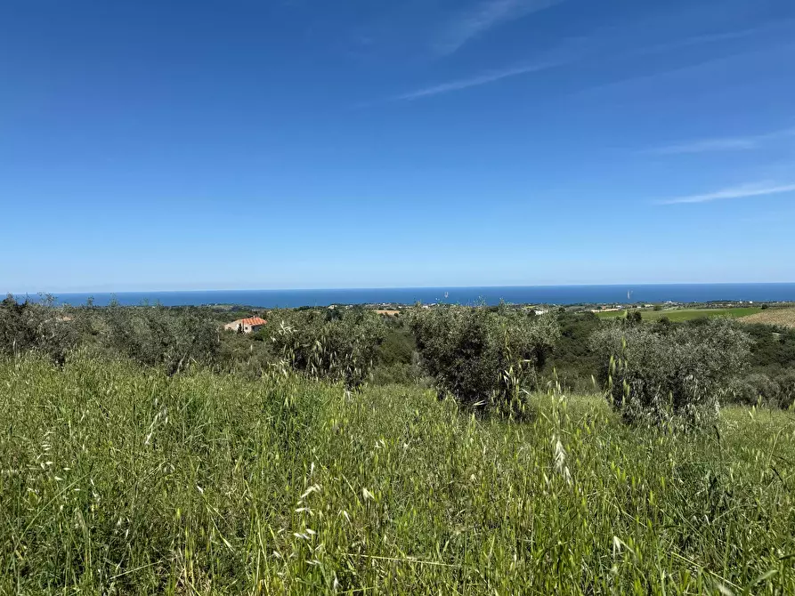 Immagine 39 di Rustico / casale in vendita  in Quercia Ferrata a Ripatransone