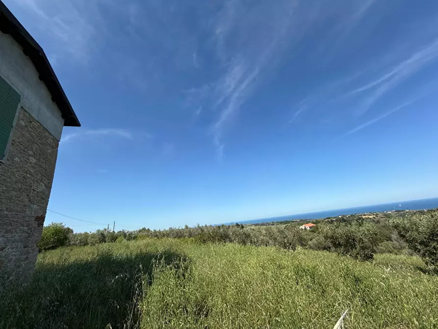 Immagine 40 di Rustico / casale in vendita  in Quercia Ferrata a Ripatransone
