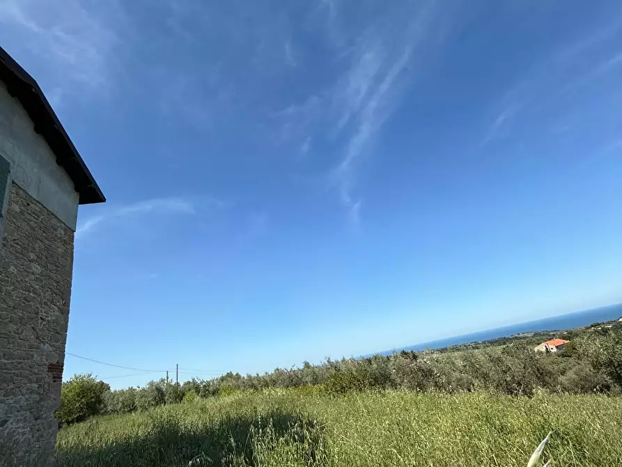 Immagine 41 di Rustico / casale in vendita  in Quercia Ferrata a Ripatransone