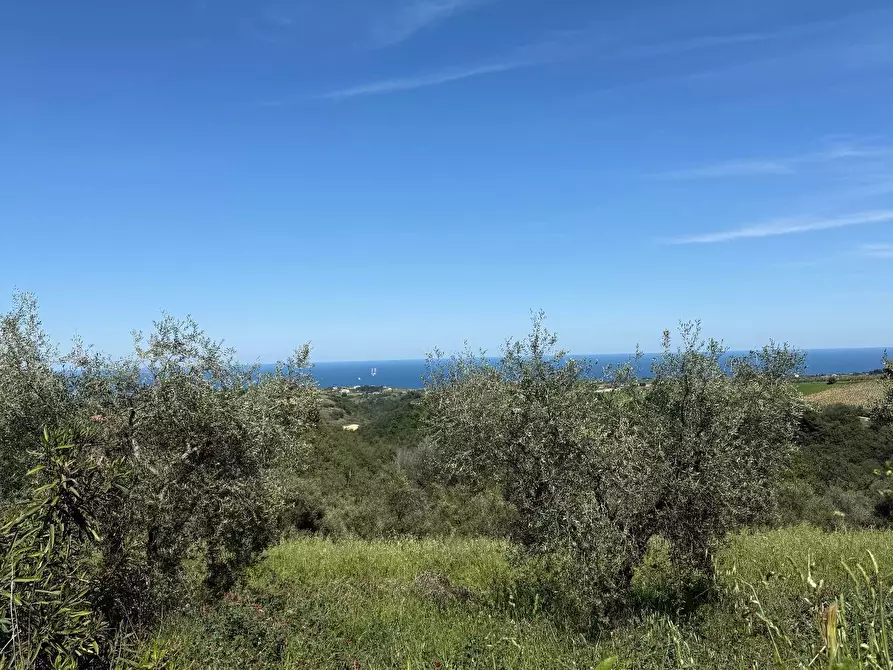 Immagine 44 di Rustico / casale in vendita  in Quercia Ferrata a Ripatransone