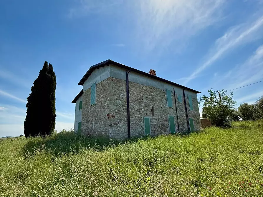 Immagine 46 di Rustico / casale in vendita  in Quercia Ferrata a Ripatransone