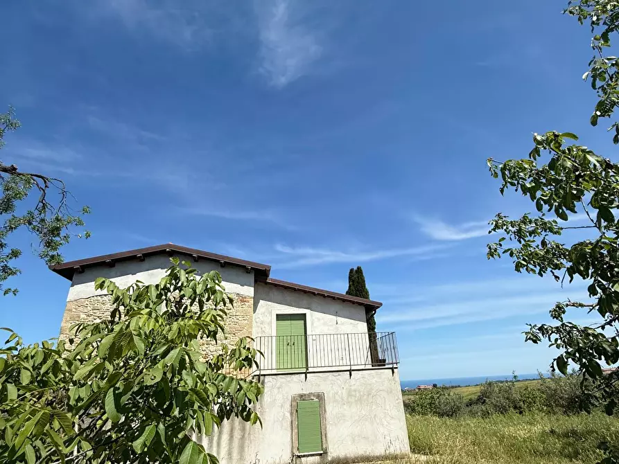 Immagine 51 di Rustico / casale in vendita  in Quercia Ferrata a Ripatransone