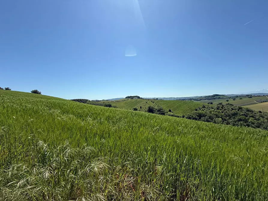 Immagine 17 di Rustico / casale in vendita  a Monteprandone