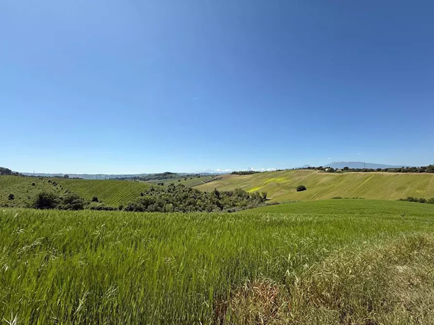 Immagine 18 di Rustico / casale in vendita  a Monteprandone