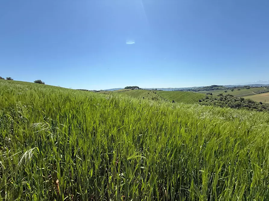 Immagine 2 di Rustico / casale in vendita  a Monteprandone
