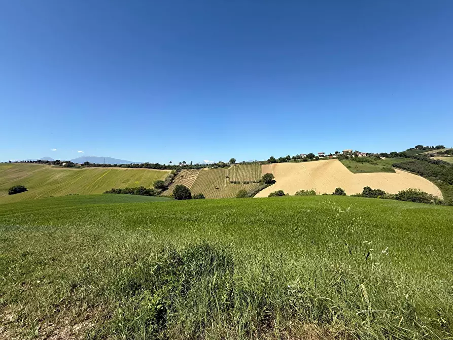 Immagine 19 di Rustico / casale in vendita  a Monteprandone