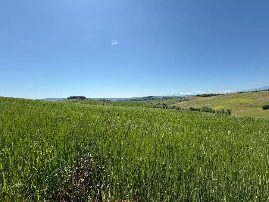 Immagine 3 di Rustico / casale in vendita  a Monteprandone