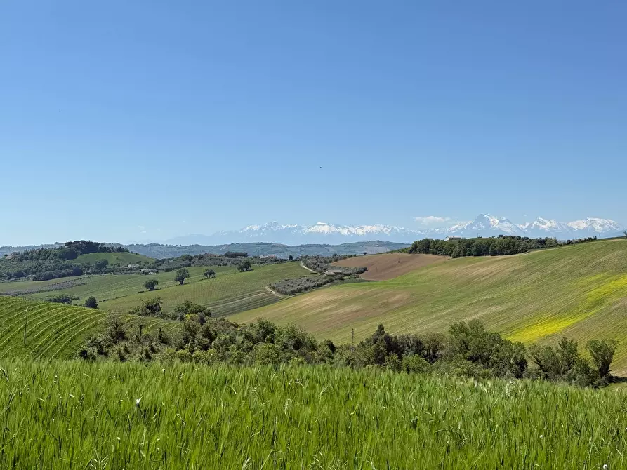 Immagine 21 di Rustico / casale in vendita  a Monteprandone