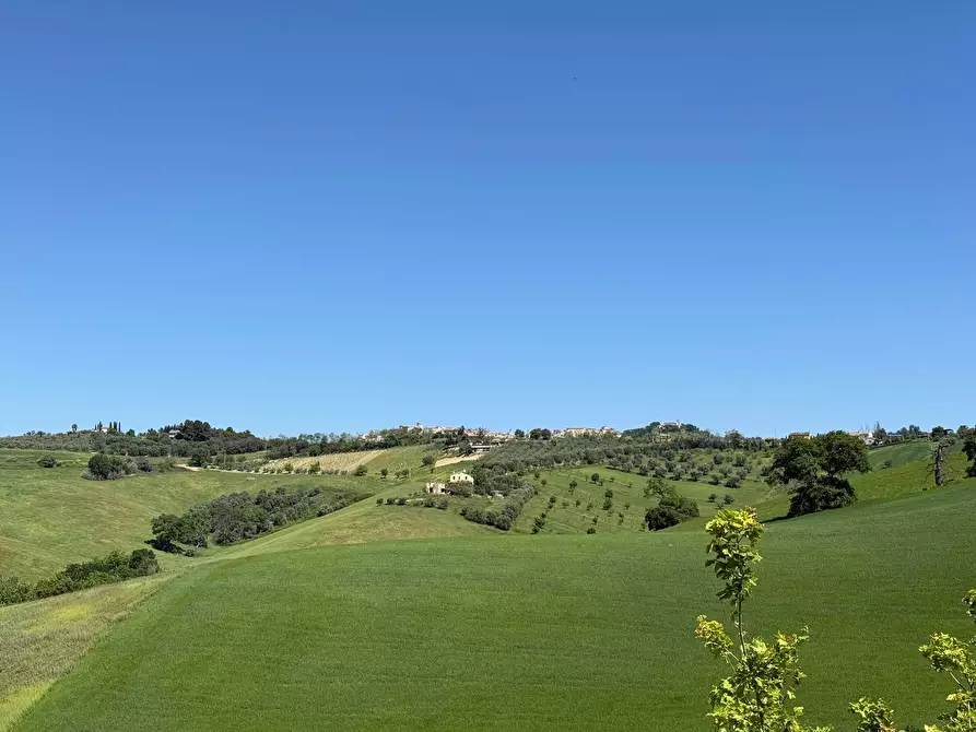 Immagine 23 di Rustico / casale in vendita  a Monteprandone