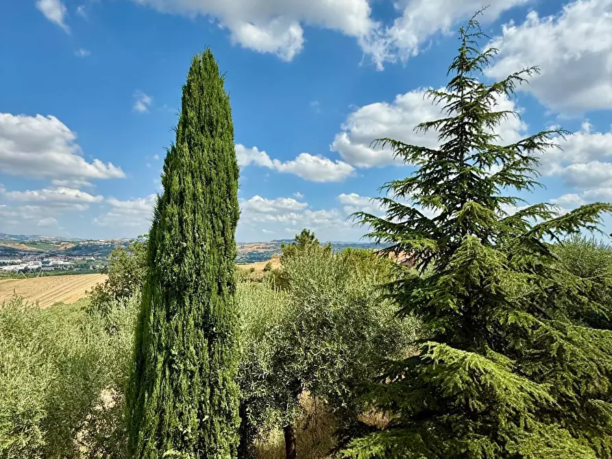 Immagine 15 di Rustico / casale in vendita  a Ancarano