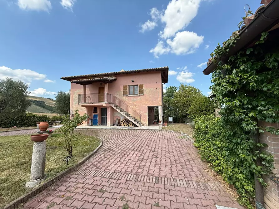 Immagine 16 di Rustico / casale in vendita  a Ancarano