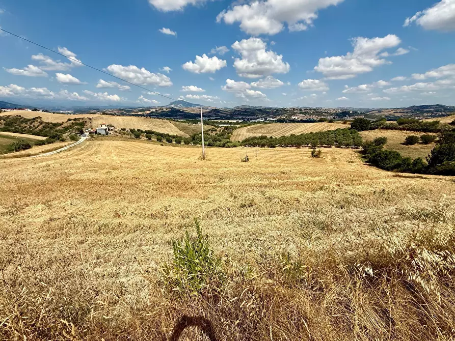 Immagine 22 di Rustico / casale in vendita  a Ancarano