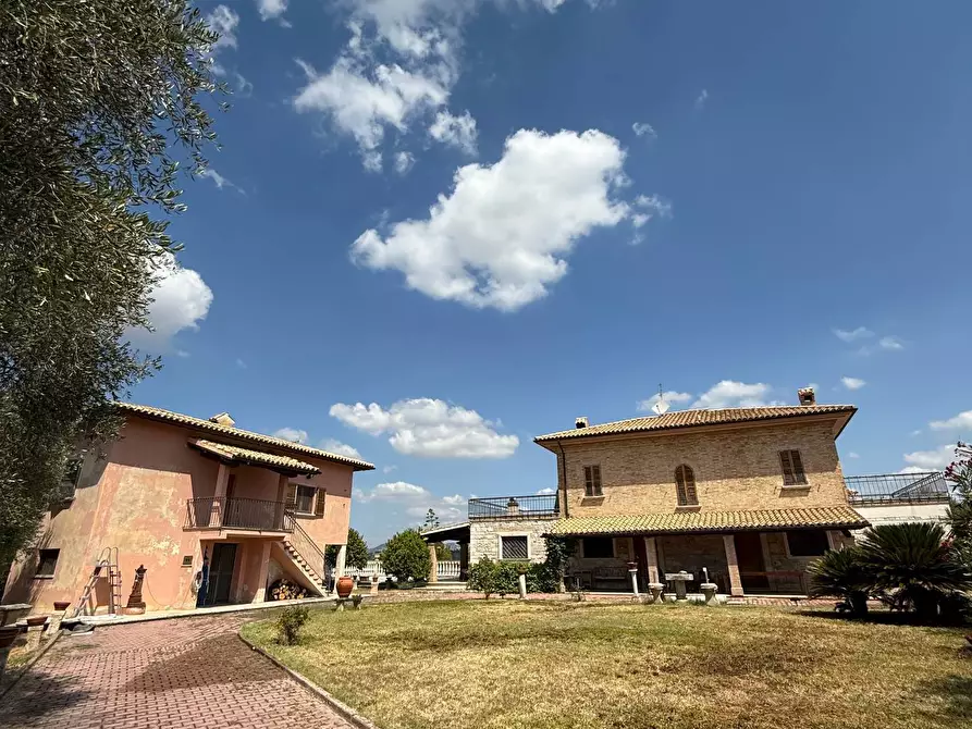 Immagine 24 di Rustico / casale in vendita  a Ancarano