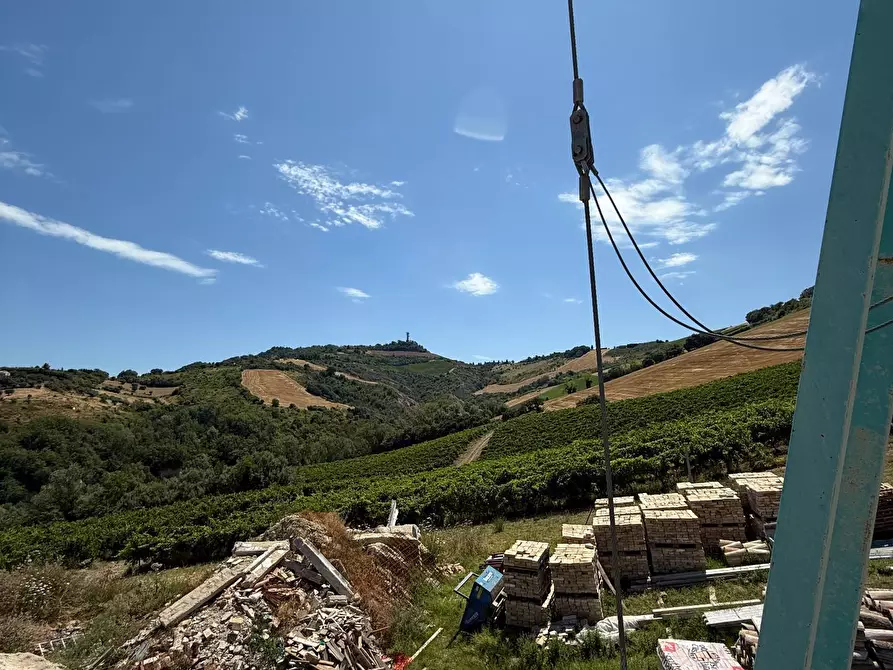 Immagine 7 di Rustico / casale in vendita  in Collevecchio a Ripatransone