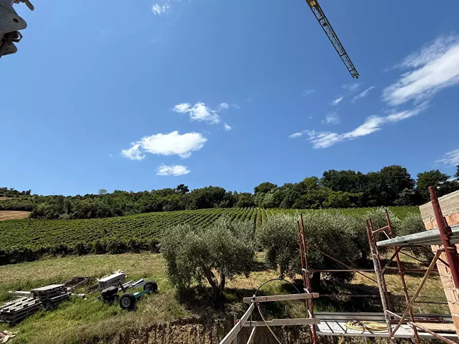 Immagine 8 di Rustico / casale in vendita  in Collevecchio a Ripatransone