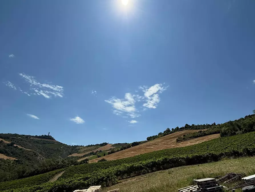 Immagine 9 di Rustico / casale in vendita  in Collevecchio a Ripatransone