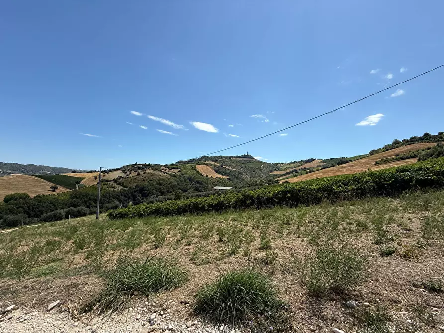 Immagine 11 di Rustico / casale in vendita  in Collevecchio a Ripatransone