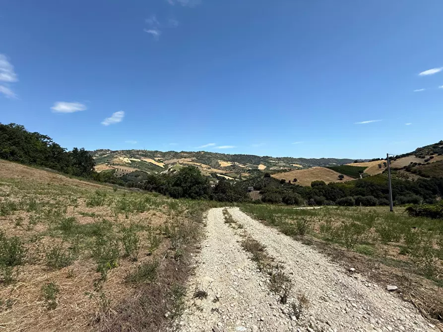 Immagine 12 di Rustico / casale in vendita  in Collevecchio a Ripatransone