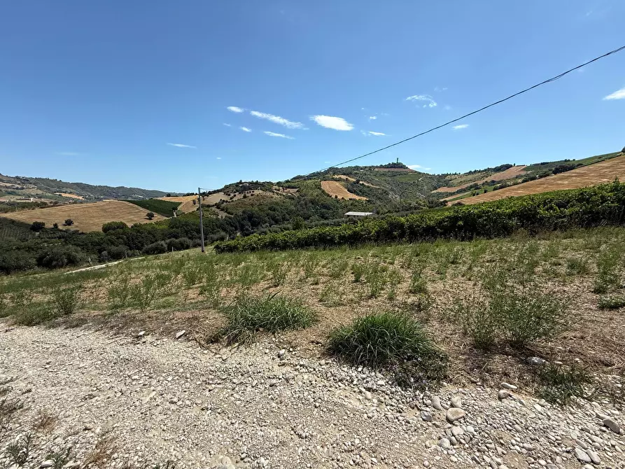 Immagine 13 di Rustico / casale in vendita  in Collevecchio a Ripatransone