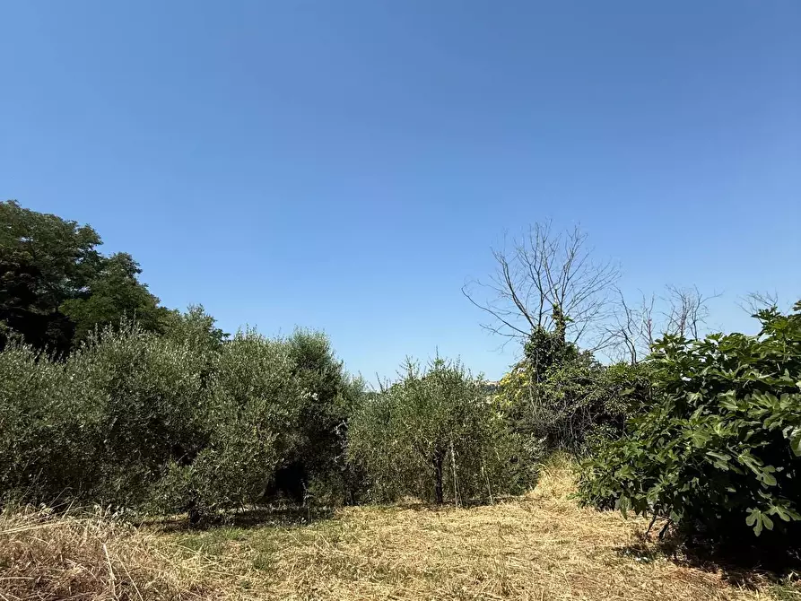 Immagine 29 di Casa indipendente in vendita  a Altidona