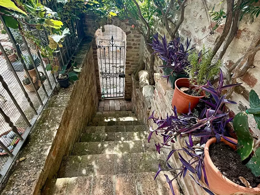 Immagine 13 di Appartamento in vendita  a Ripatransone